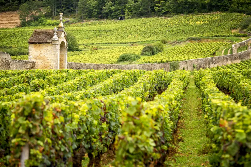 21200 BEAUNE - BAR 100 PLACES, GRANDES TERRASSES