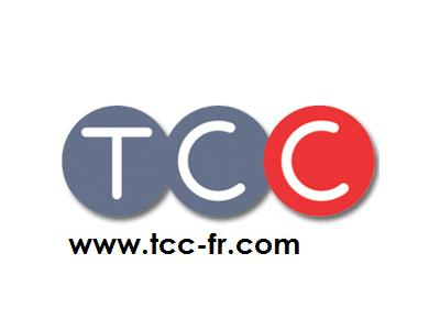 Fonds de commerce restauration rapide Toulouse hyper centre piéton