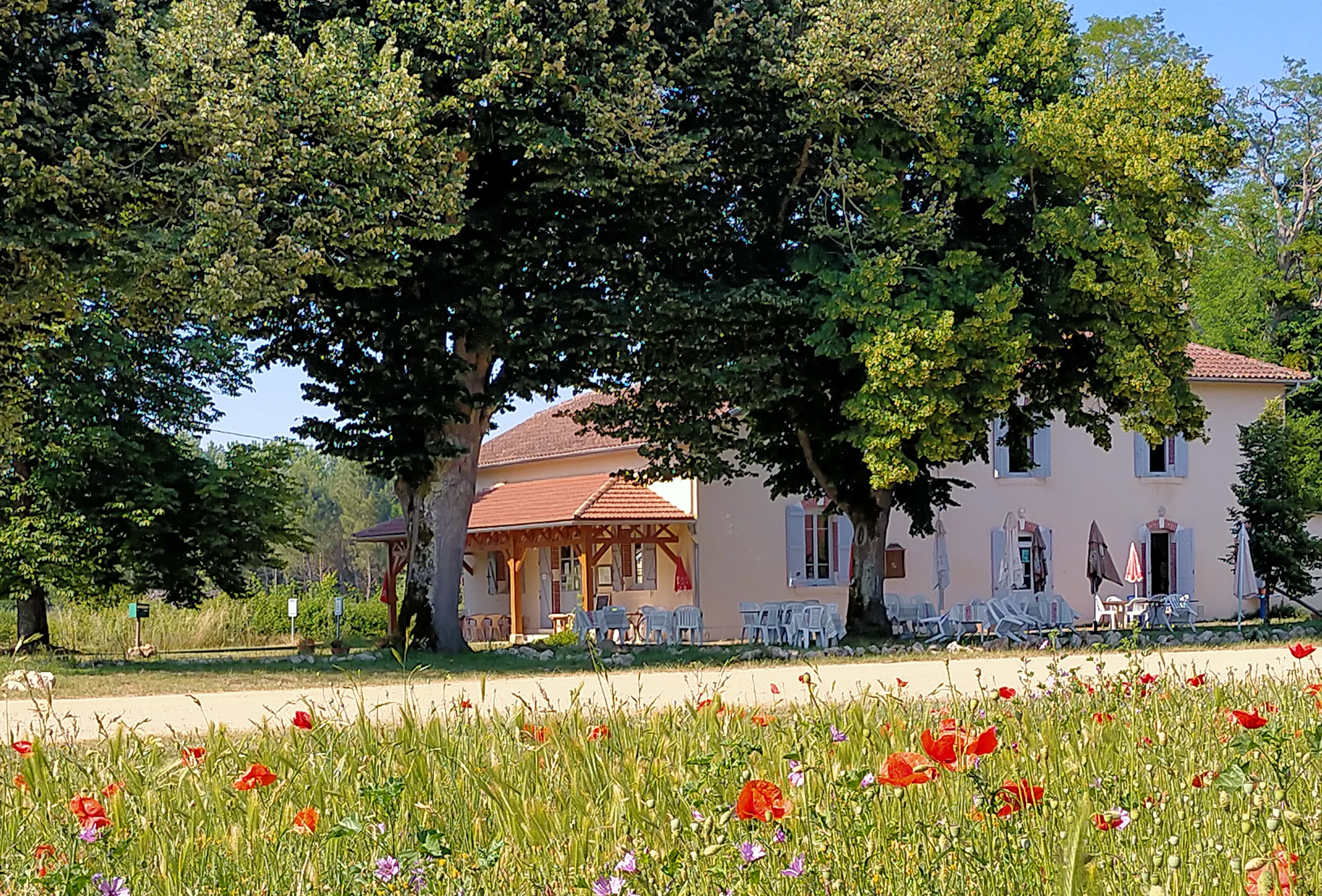 Restaurant traditionnel du midi à vendre avec logement – Landes d’Armagnac (40)