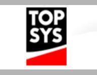 TopSys - TopRestau