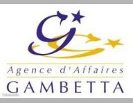 AGENCE D'AFFAIRES GAMBETTA